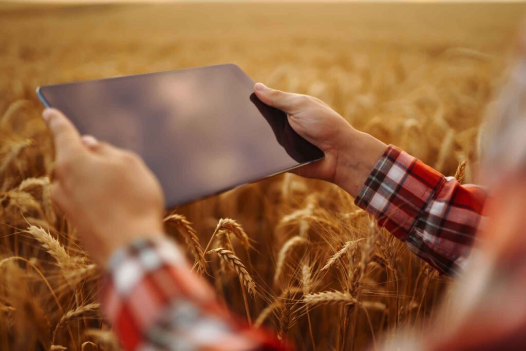 Sostenibilidad Agrícola